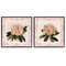 Stupell Industries Pink Vintage Pattern Botanicals 2pc Framed Giclee Set, design by Livi Finn